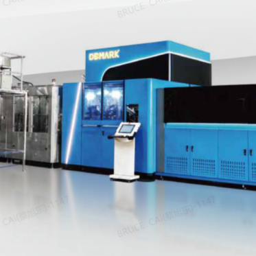 Blowing Filling Capping Line photo
