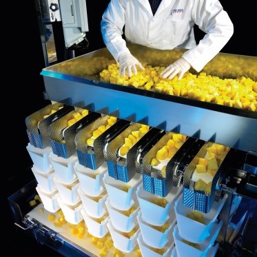 FFW-Series: Linear Multihead Weighers for sticky, fresh and delicate products  photo