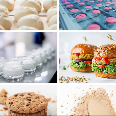 Innovative Food & Pet Food Solutions photo