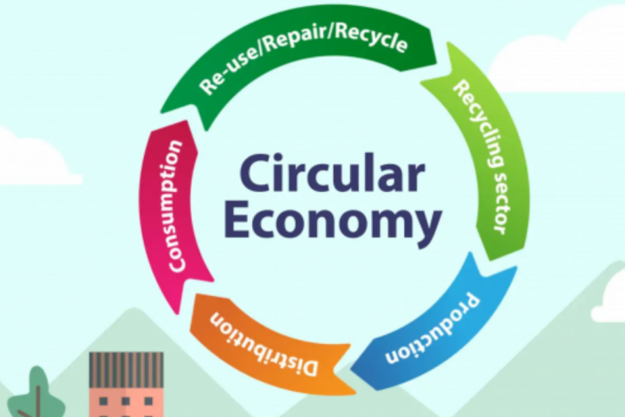 Circular Economy: moving Africa towards environmental sustainability image