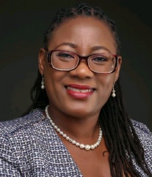 Dr Adesola Falaiye photo