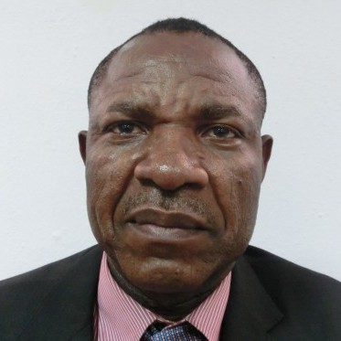 Sir John Onuegbulem